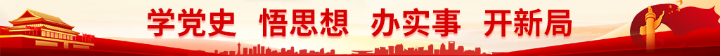 學黨史 悟思想  辦實事  開新局
